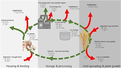 Assessment of environmental and farm business impacts of phosphorus policies in two European regions